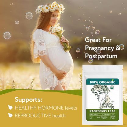 Organic Raspberry Leaf Tea Bags (40 Bleach-Free & Microplastic-Free TeaBags) - Womens Health, Fertility