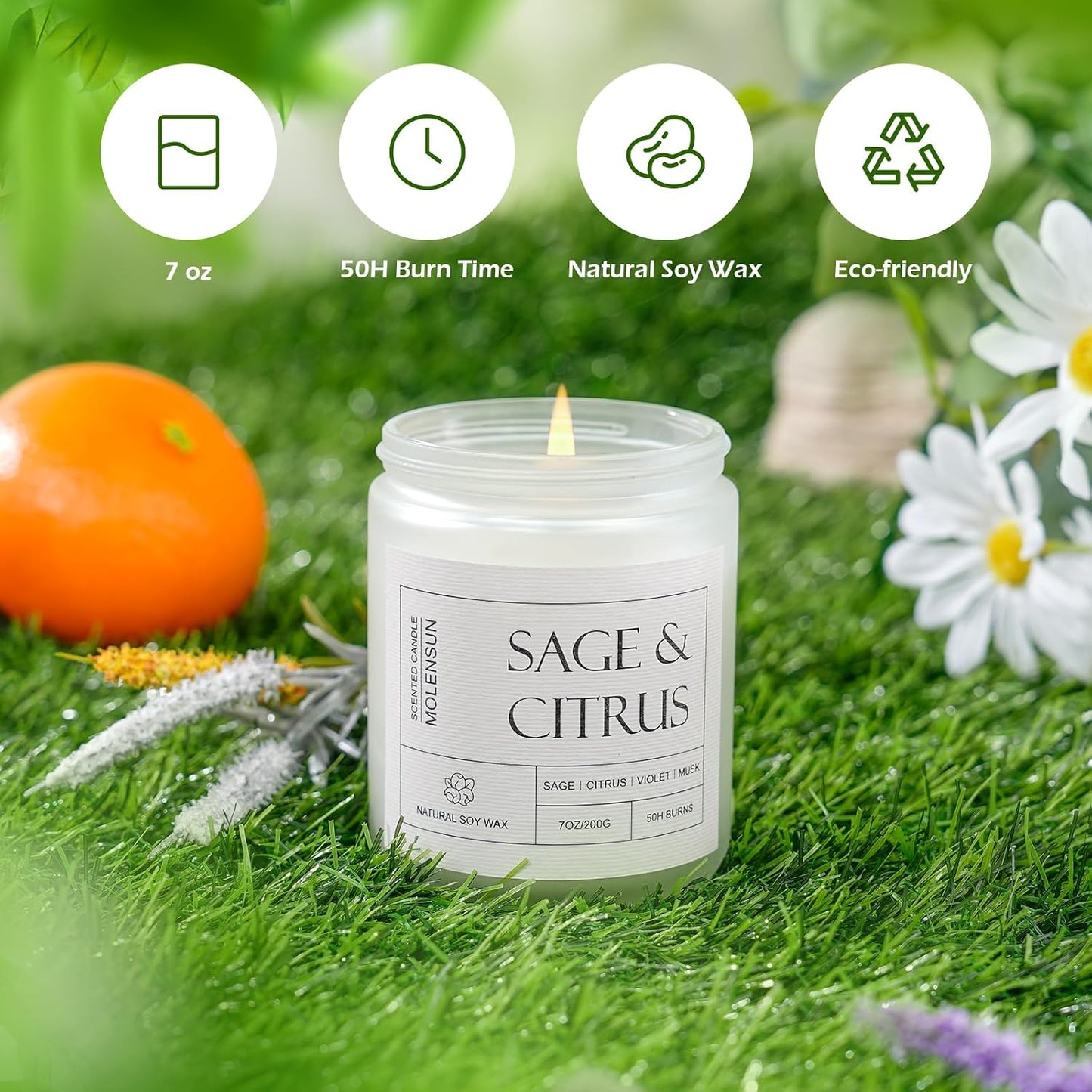 Molensun Lemon Eucalyptus Scented Candles, Aromatherapy Jar Candle, 7 oz Long Lasting Candles, Soy Wax Candle Gift for Women
