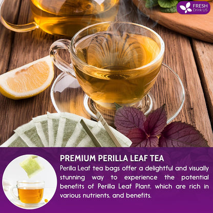 FreshDrinkUS, Premium Perilla Leaf Tea, 75 Count, Pure, Caffeine Free