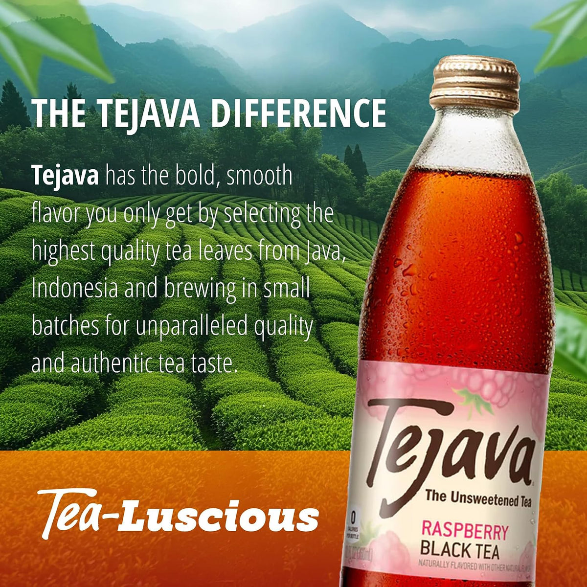 Tejava Raspberry Unsweetened Black Iced Tea, 12 fl oz, Pack of 4