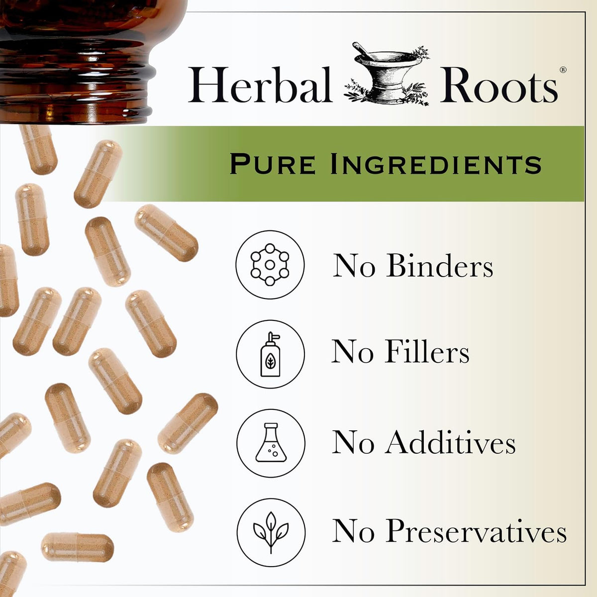 Herbal Roots Organic Black Elderberry Capsules - Max Strength - USDA Certified Organic - Immune Support - 60 Vegan Capsules