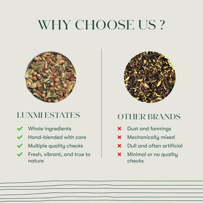 Luxmi Estates Fennel Mint Herbal Tea | Loose Leaf in Resealable Tin Caddy 100g (3.5oz, ~50 Cups) | 5-Herb Ayurvedic Digestive Blend with Fennel, Peppermint, Coriander Seed, Cardamom & Cinnamon, Caffeine-Free