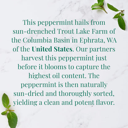 The Republic of Tea — Organic American Peppermint SuperHerb Tea Tin, 36 Herbal Tea Bags, Naturally Caffeine-Free Herbs of Origin