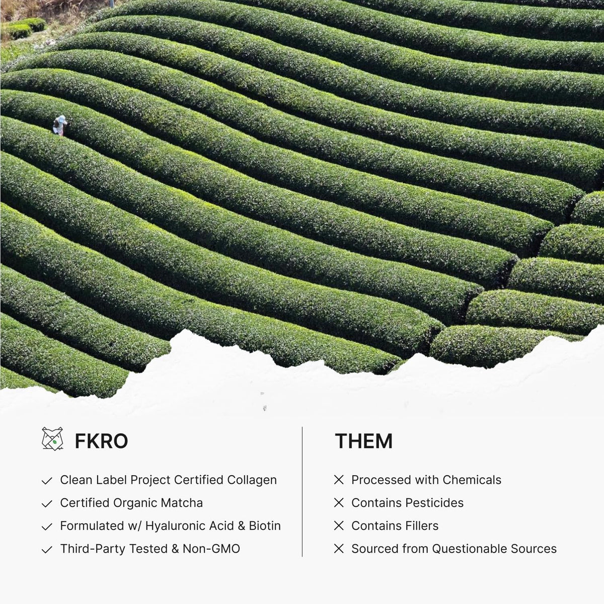 FKRO Matcha Collagen Peptides Powder with Biotin, Hyaluronic Acid & Vitamin C | Type I & III Hydrolyzed Collagen for Hair, Skin & Nails | Unsweetened Japanese Matcha Latte | 22 Servings, 7.9oz