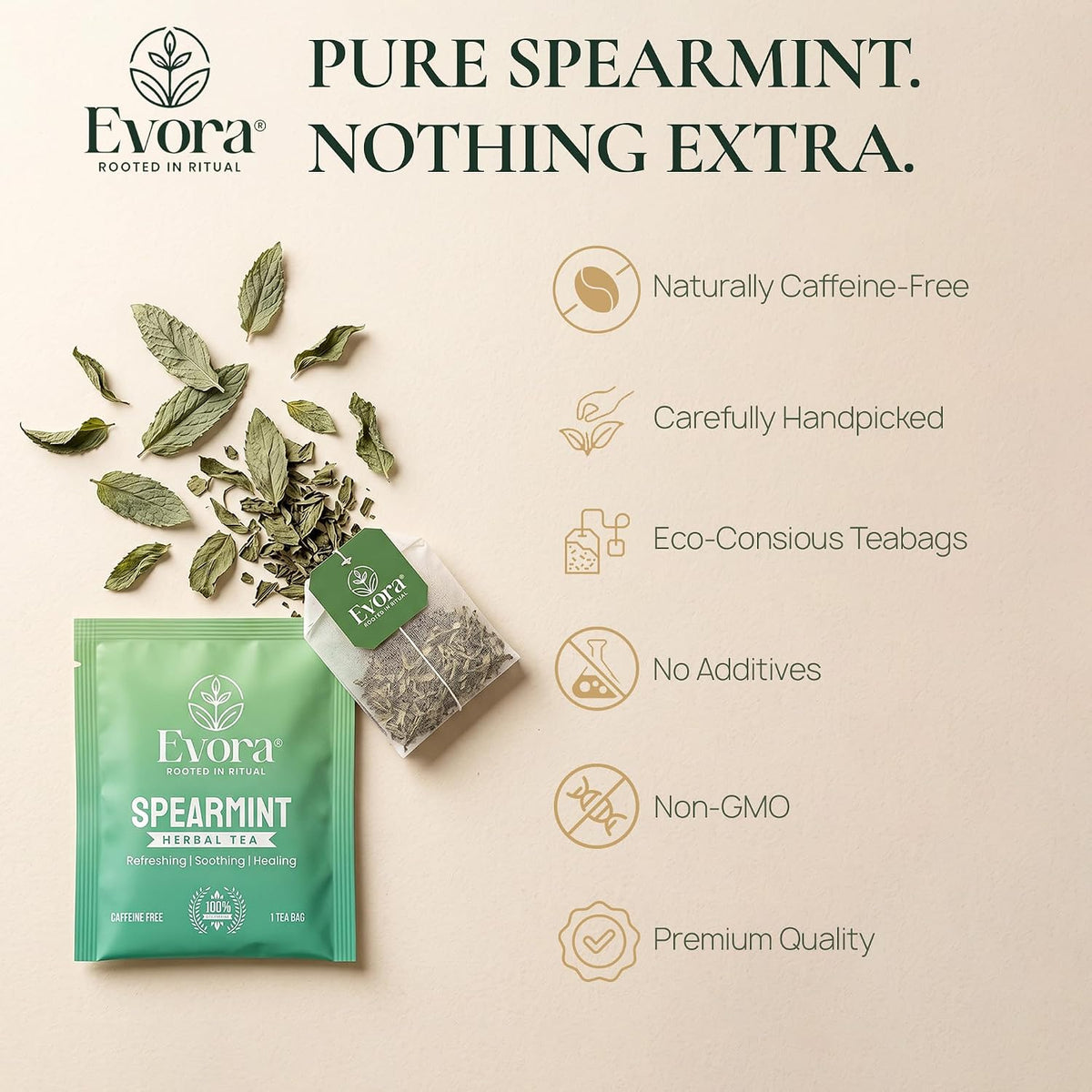 EVORA Spearmint Tea - 30 Double Chamber Bags of Dried Spearmint Tea Leaves