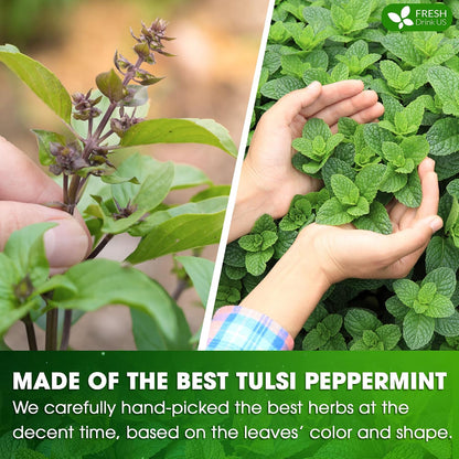FreshDrinkUS, Premium Tulsi Peppermint Herbal Tea – 135 Tea Bags, 100% Natural, Blend of Tulsi Holy Basil Leaves, and Peppermint Leaves. Made with Natural Material Tea Bags. No Sugar, Vegan.