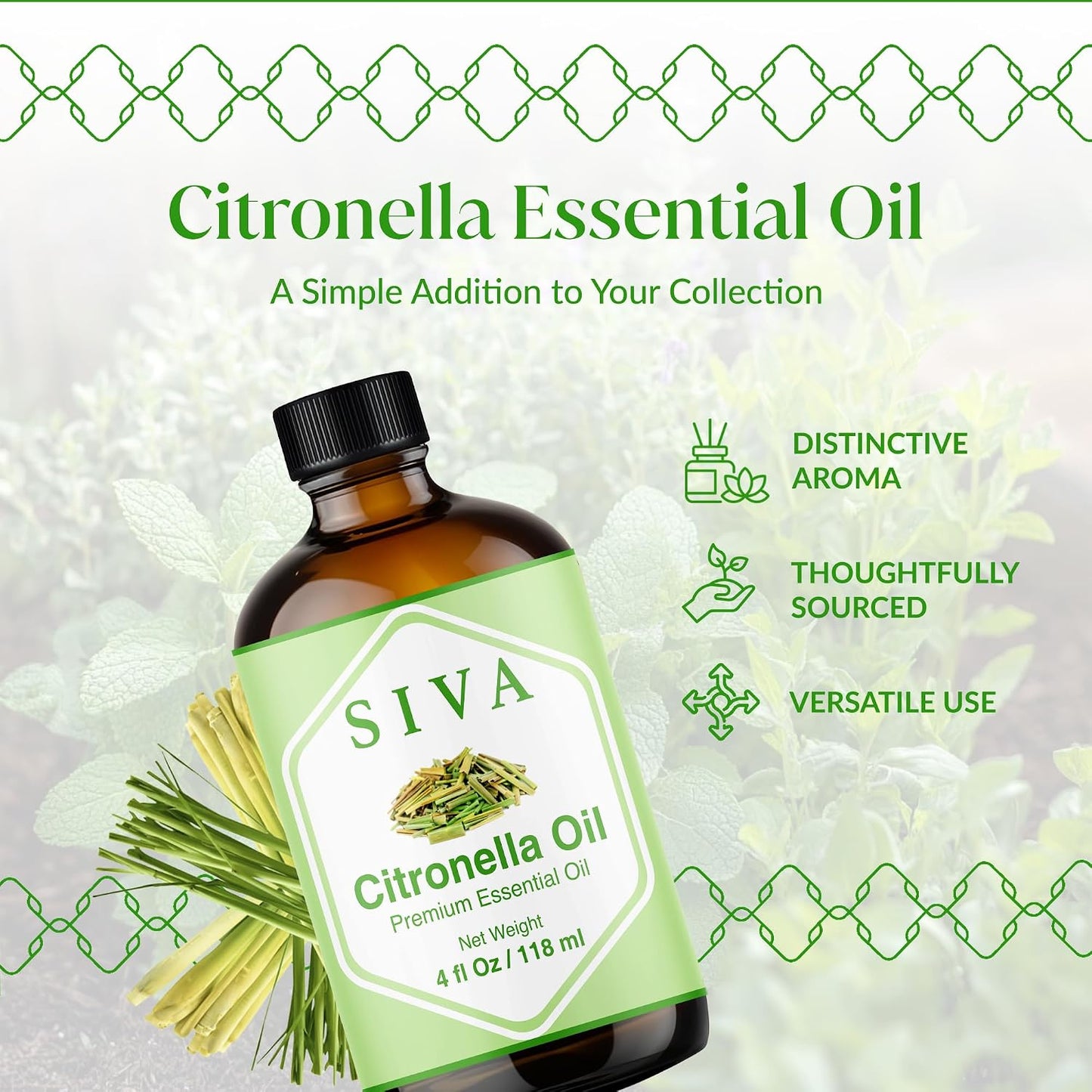Siva Lavender Essential Oil, Huge Bottle, Large Size, 16 Fl Oz (473 ml)