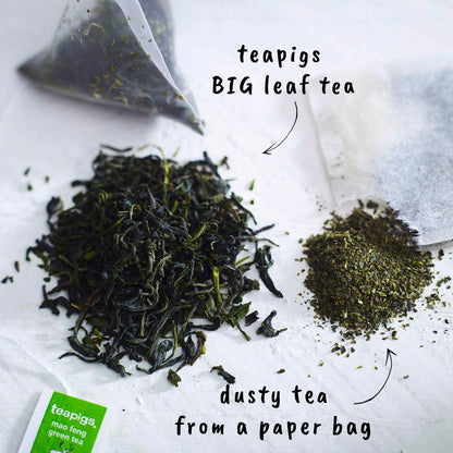 teapigs, Mao Feng Green Tea, Made with Whole Leaves, Whole Leaf Tea Temples, 50 Count, Pack of 50, Delicate, Peachy & Smooth