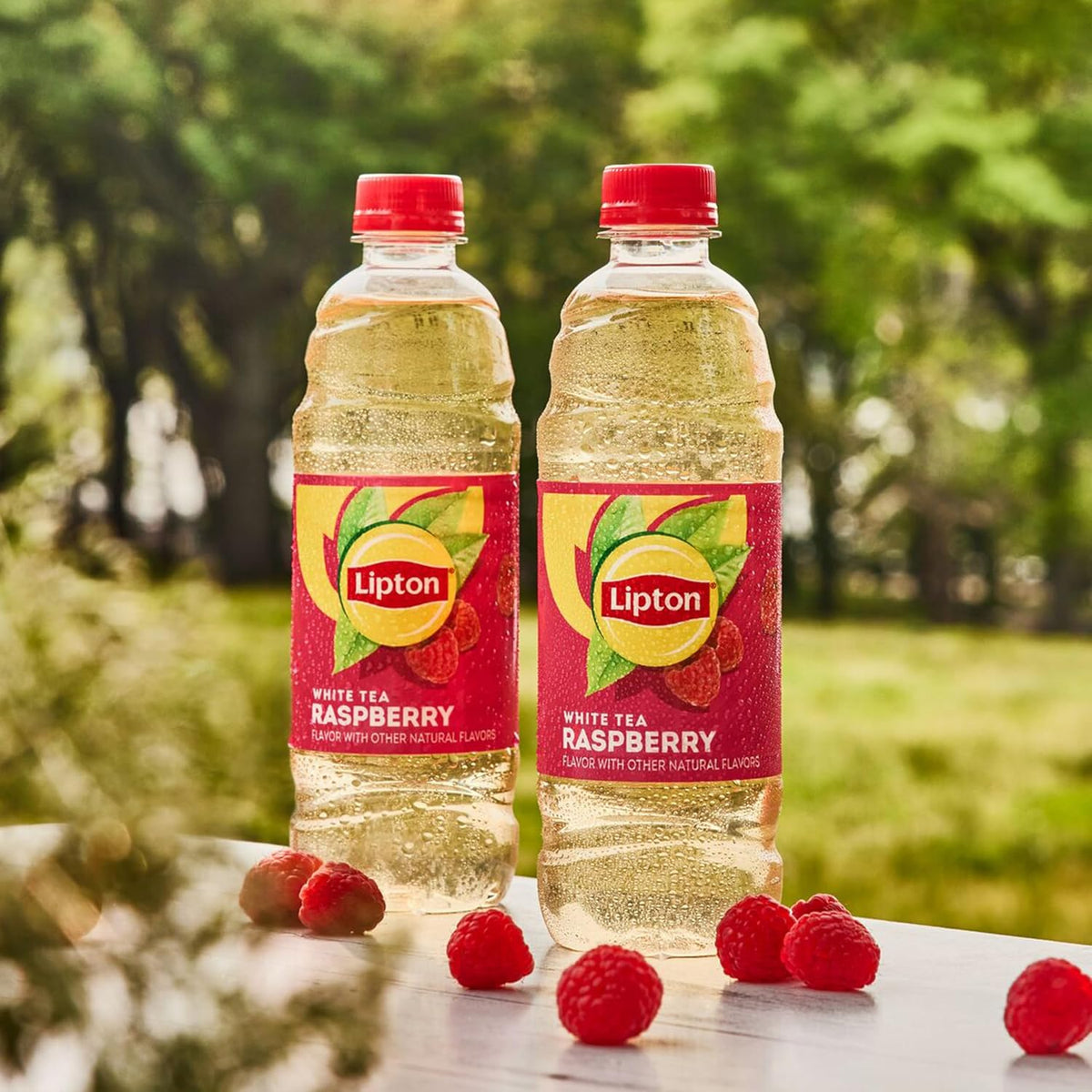 Lipton Raspberry White Tea, 16.9 Fl Oz Bottles (Pack of 12)