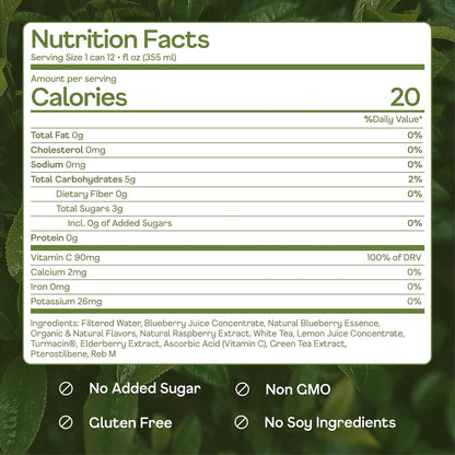 Happy Being Blueberry White Tea, Antioxidant, Low Sugar, 12oz 4 Pack