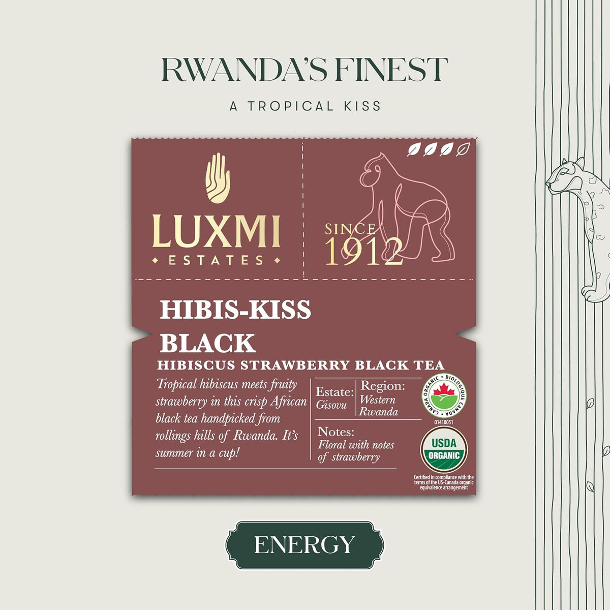 Luxmi Estates Hibis-Kiss Organic Hibiscus Tea (25 Tea Bags) Caffeinated Tea Bags For A Morning Boost and Natural Energy, With Certified Organic Black Tea