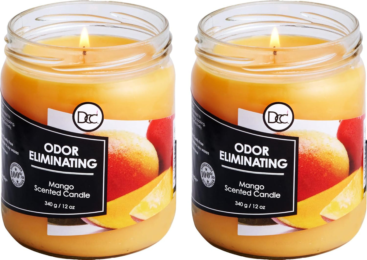 Vanilla Bean Odor Eliminating Highly Fragranced Candle - Eliminates 95% of Pet, Smoke, Food, and Other Smells Quickly - Up to 80 Hour Burn time - 12 Ounce Premium Soy Blend - Colors A