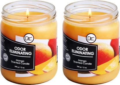 Vanilla Bean Odor Eliminating Highly Fragranced Candle - Eliminates 95% of Pet, Smoke, Food, and Other Smells Quickly - Up to 80 Hour Burn time - 12 Ounce Premium Soy Blend - Colors A