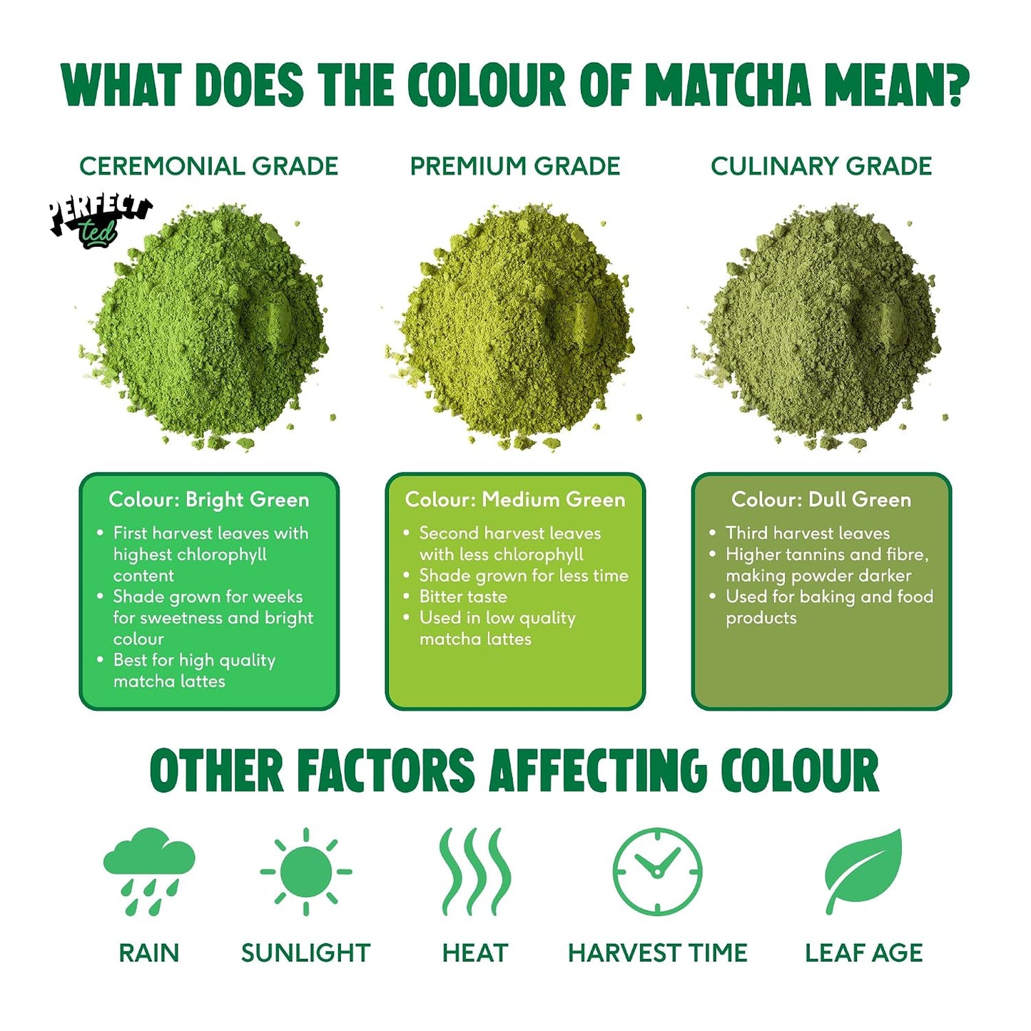 PerfectTed Matcha Powder, Ceremonial Grade Japanese, 30g (30 Servings), Perfect for Lattes & Smoothies | Premium Matcha Fuel | with L-Theanine | Antioxidants | Vegan | Gluten-Free