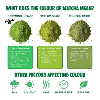 PerfectTed Matcha Powder, Ceremonial Grade Japanese, 30g (30 Servings), Perfect for Lattes & Smoothies | Premium Matcha Fuel | with L-Theanine | Antioxidants | Vegan | Gluten-Free
