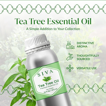 Siva Lavender Essential Oil, Huge Bottle, Large Size, 16 Fl Oz (473 ml)