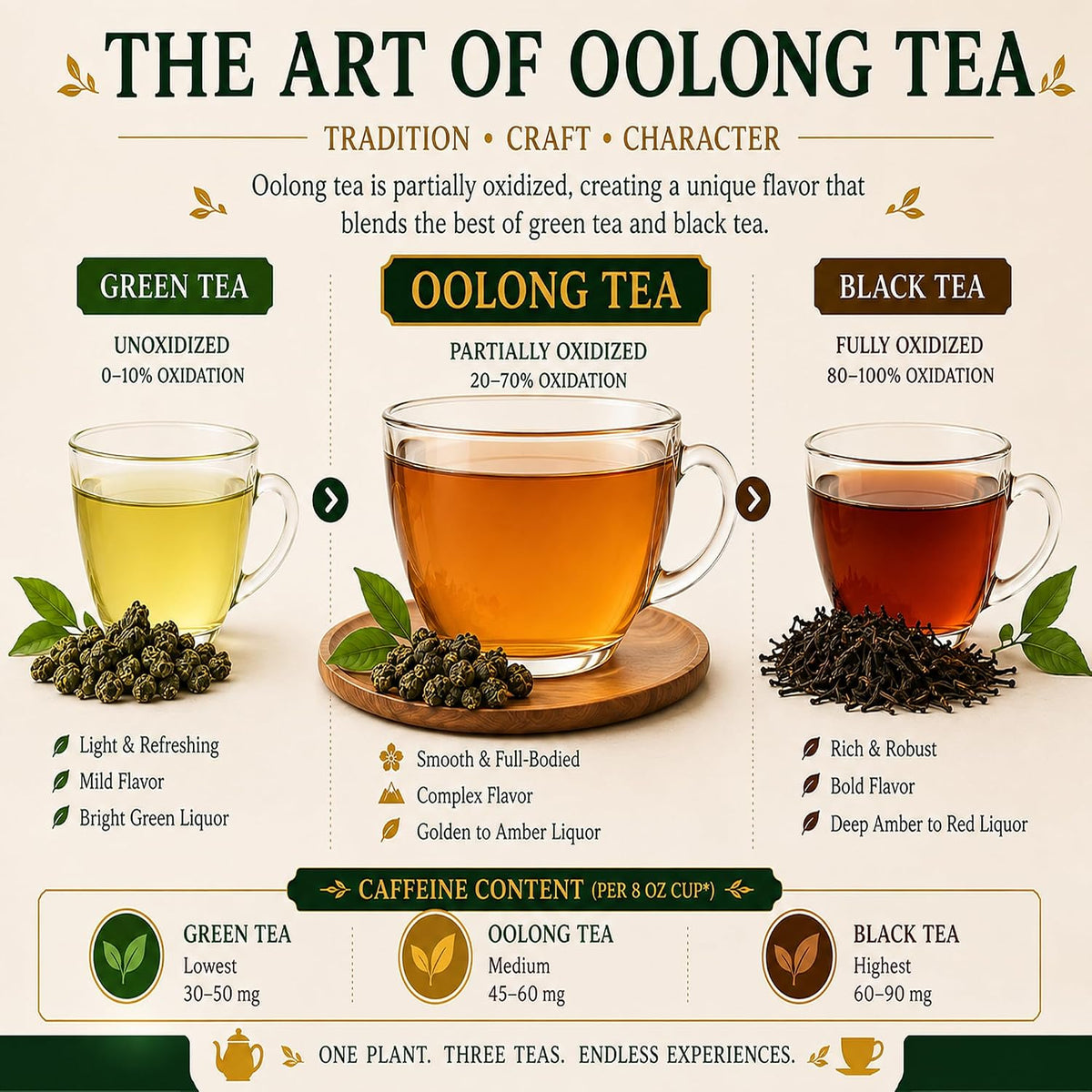 Oolong Tea Bags, Chinese Restaurant Tea, Bulk, 100 Count