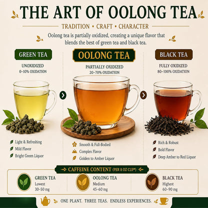 Oolong Tea Bags, Chinese Restaurant Tea, Bulk, 100 Count