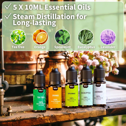 Essential Oils Set Top 6 Aromatherapy-Essential Oils for Diffuser for Home,Air Freshening Diffuser Oils Scents for Aromatherapy,Laundry,Candle&Soap Making,Humidifiers 6 X 10ML