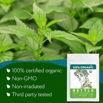 Stinging Nettle Tea Organic (40 Bleach-Free & Microplastic-Free TeaBags) - Te de Ortiga Organico Natural