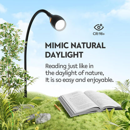acegoo Wall/Headboard Mounted Reading Light with Handy Head Switch