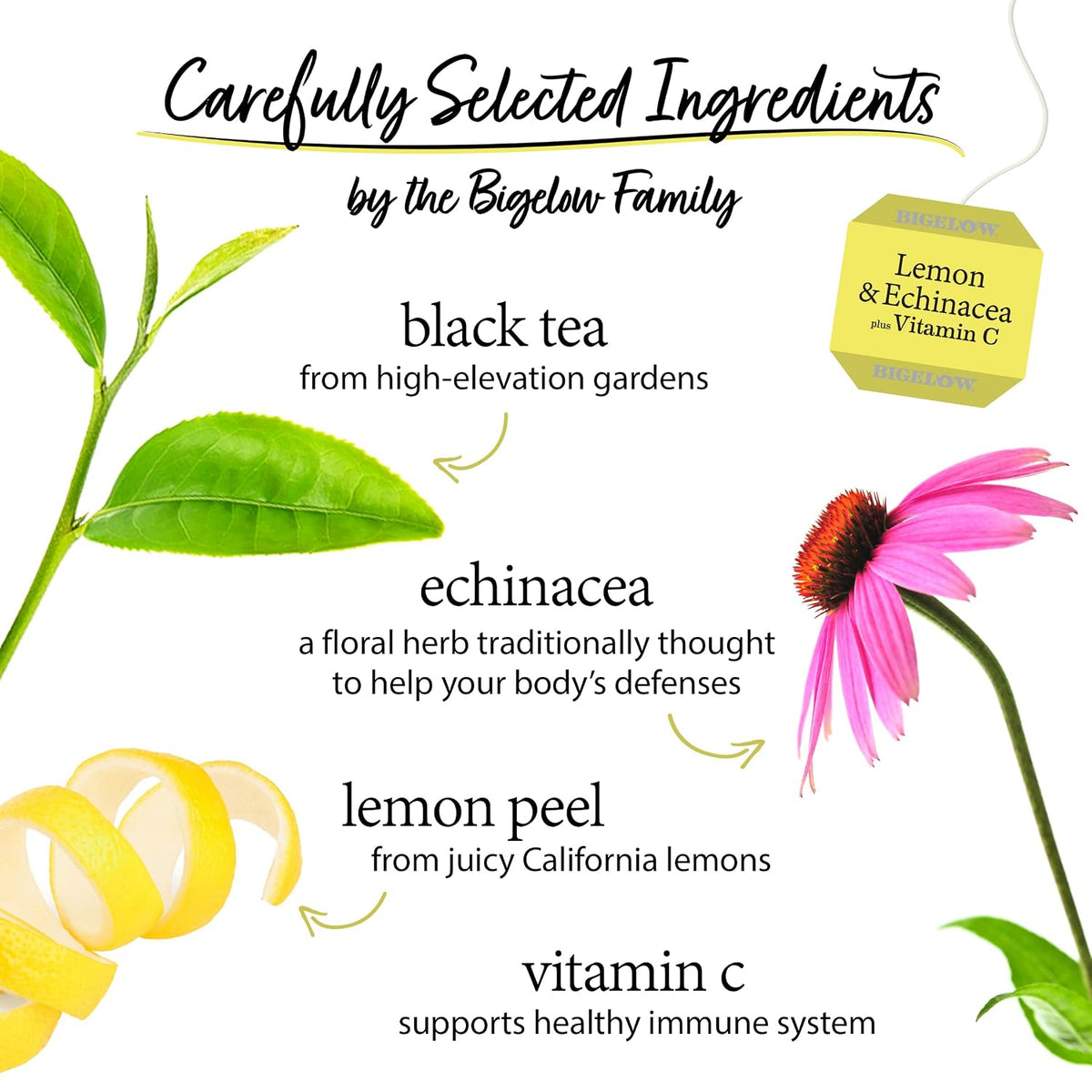 Bigelow Tea Lemon and Echinacea Plus Vitamin C, 18 Count (Pack of 6)