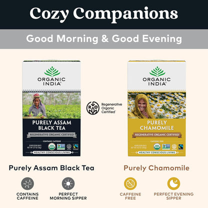 ORGANIC INDIA Tulsi Turmeric Ginger Herbal Tea - Stress Relieving & Harmonizing, Immune Support, Aids Digestion, Vegan, Caffeine-Free - 18 Infusion Bags, 6 Pack