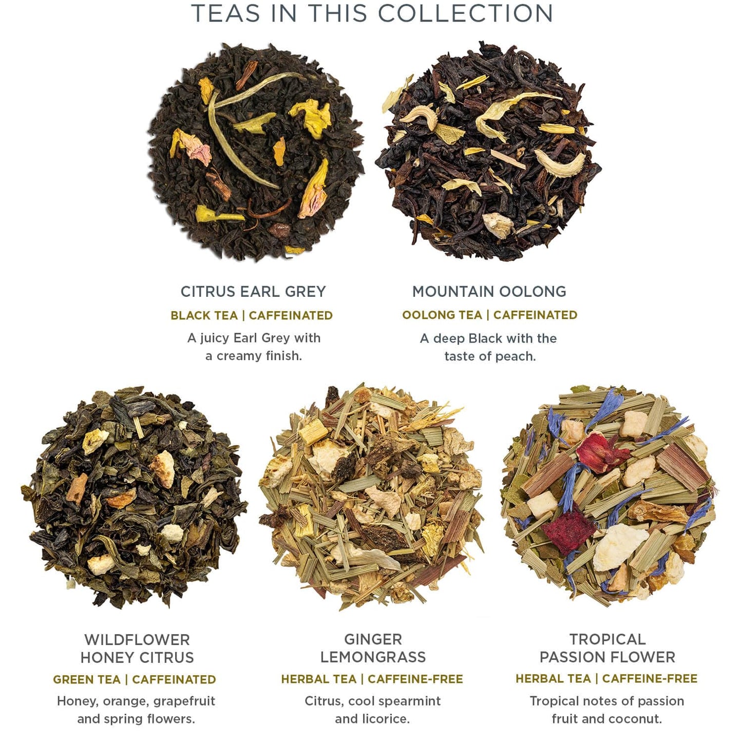 Tea Forte Premium Presentation Box Gift Set Sampler, 20 Count, Assorted Blends Individually Wrapped Handcrafted Pyramid Infuser Bags, Frank Lloyd Wright