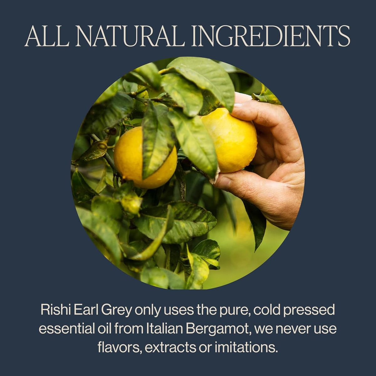 Rishi Tea Earl Grey Organic Black Loose Leaf Tea, Caffeinated, 4oz