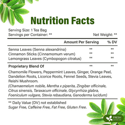 FreshDrinkUS, Premium 150 Lemon Ginger Tea Bags, 100% Natural Ingredients, Hand-made Blend of Lemon and Ginger, Eco-conscious Tea Bags. No Sugar, No Caffeine, Vegan. - Colors B