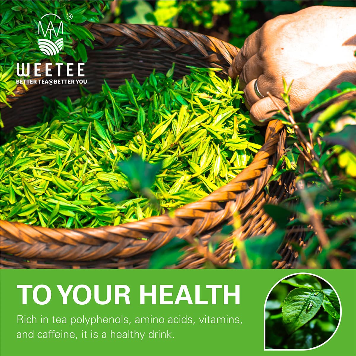 WT WEETEE Organic Green Tea Bags 100ct, Caffeinated & Super Antioxidant