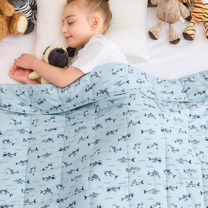yescool Weighted Lap Pad 2 Pounds Weighted Lap Blanket, Space Plane Small Weighted Blanket, Weighted Throw Blanket Gifts for Travel Indoor Outdoor, 20"x30"