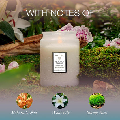Voluspa Baltic Amber Candle, 18 oz, Coconut Wax Blend, Scented Candles for Home, 100 Hour Burn Time, Candle Jar