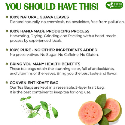 FreshDrinkUS, Premium 35 Guava Leaf Tea Bags, 100% Natural & Pure. Loose Leaf Guava Herbal Tea. No Sugar, No Caffeine, No Gluten, Vegan.