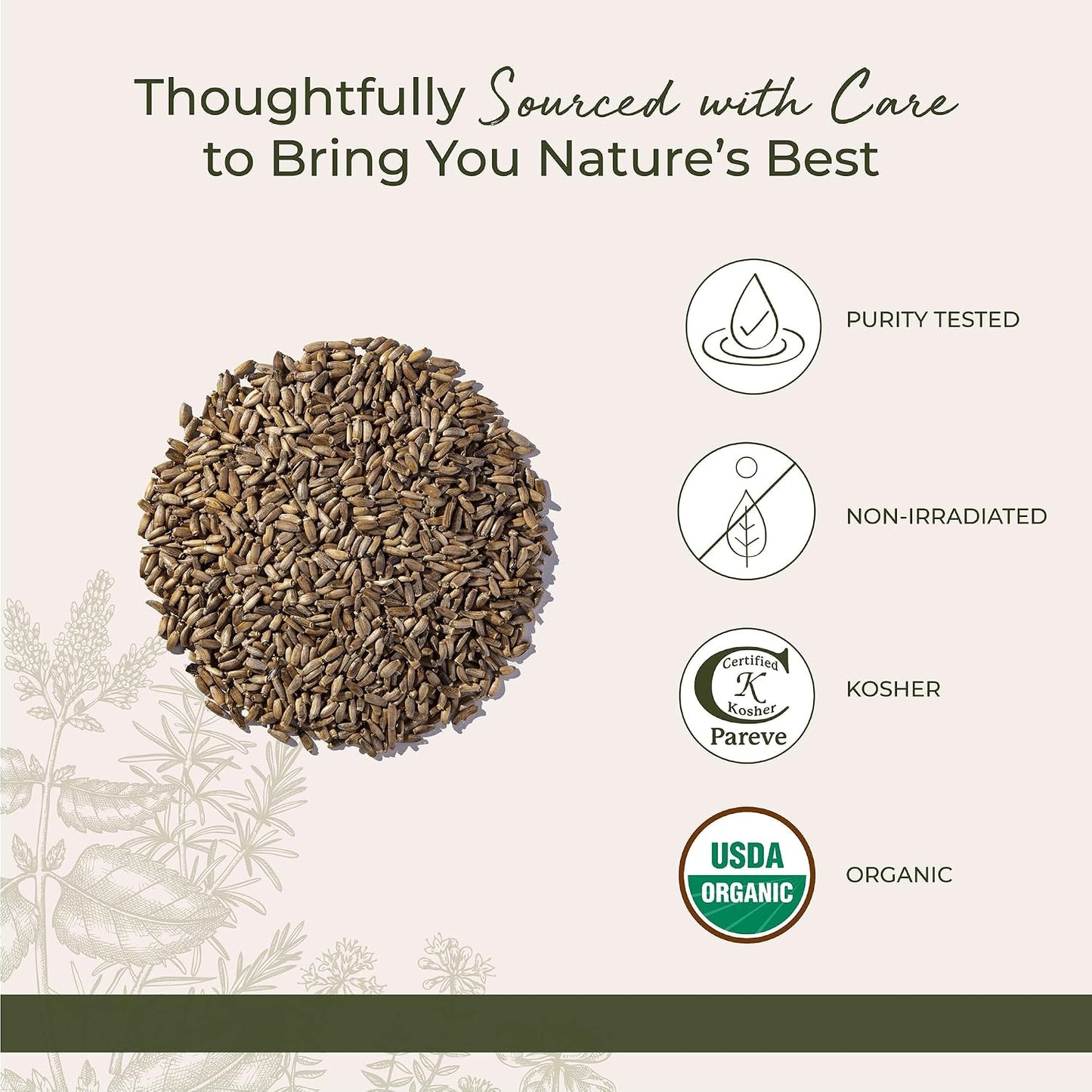 Starwest Botanicals Organic Milk Thistle Seed Whole - Loose Leaf Milk Thistle for Tea & Cooking, Mix in Juice, Add to Smoothies, Oatmeal, & Yogurt, Certified Kosher, Non-GMO - Bulk 1 lb Bag