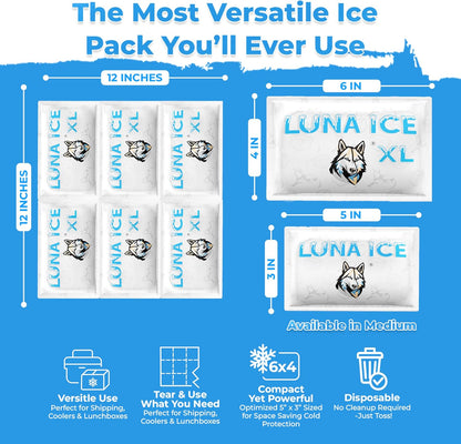 Dry Ice Packs for Shipping - Long Lasting ice Packs - 24+ Hour Freeze Power - BPA Free - 12 Pack Bulk 3 lb – Hielo Seco - Reusable Gel Bricks for Food