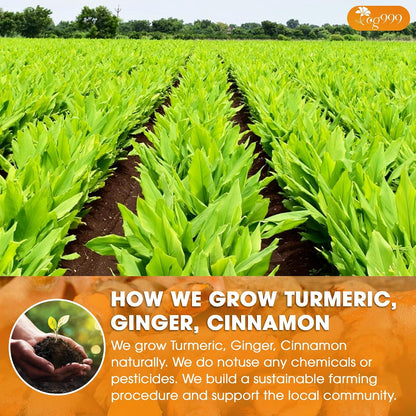 TOG999, Premium 15oz Ginger Turmeric Cinnamon Loose Leaf Herbal Tea - Premium Quality Spiced Herbal Blend – Caffeine-Free, Non-GMO, Natural Dried Roots and Bark. Vegan-Friendly.