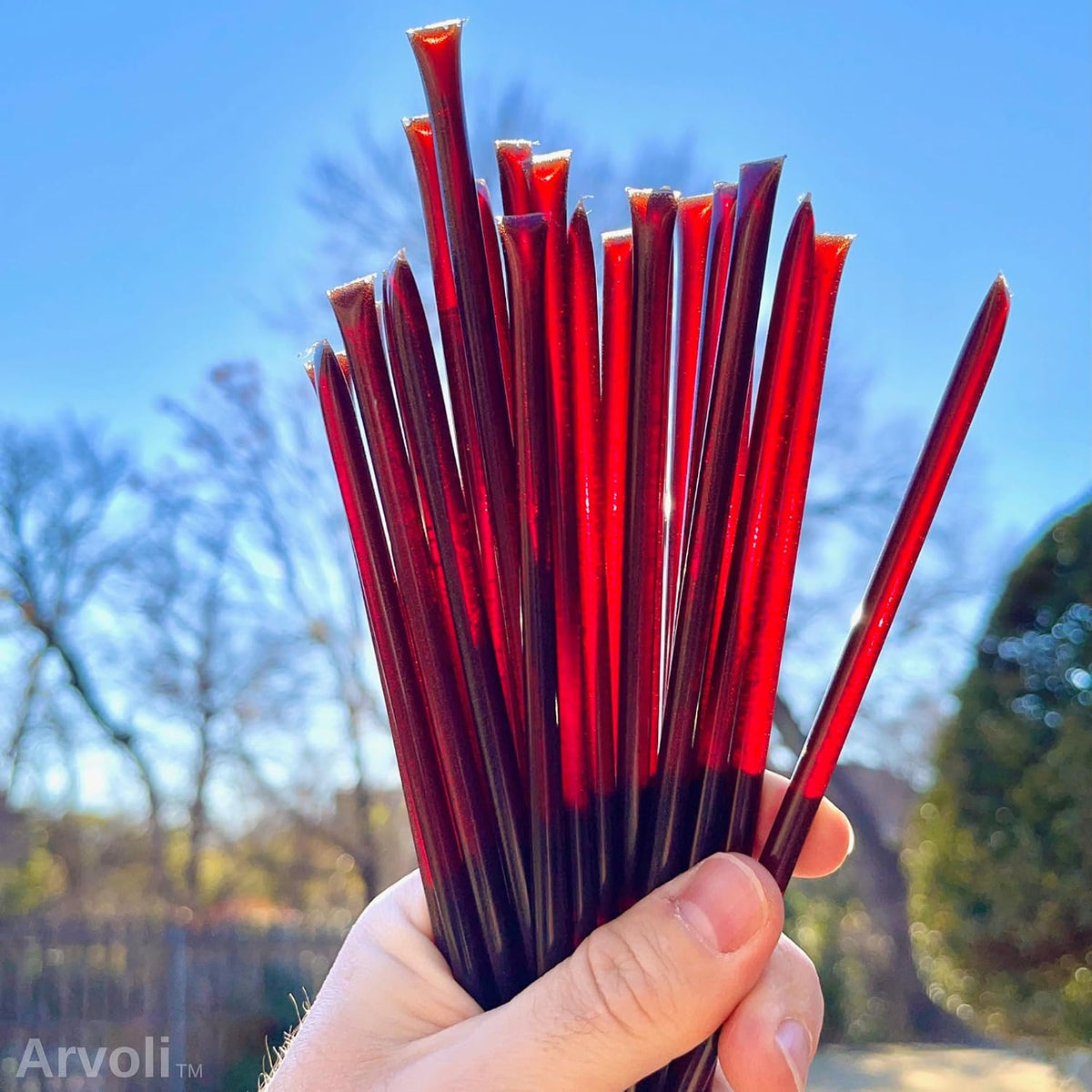 Arvoli Elderberry Honey Sticks for Tea - 50 Pack - Infused Honey with Whole Elderberries - Healthy All Natural Immune Boosters for Adults and Kids - Immune Support
