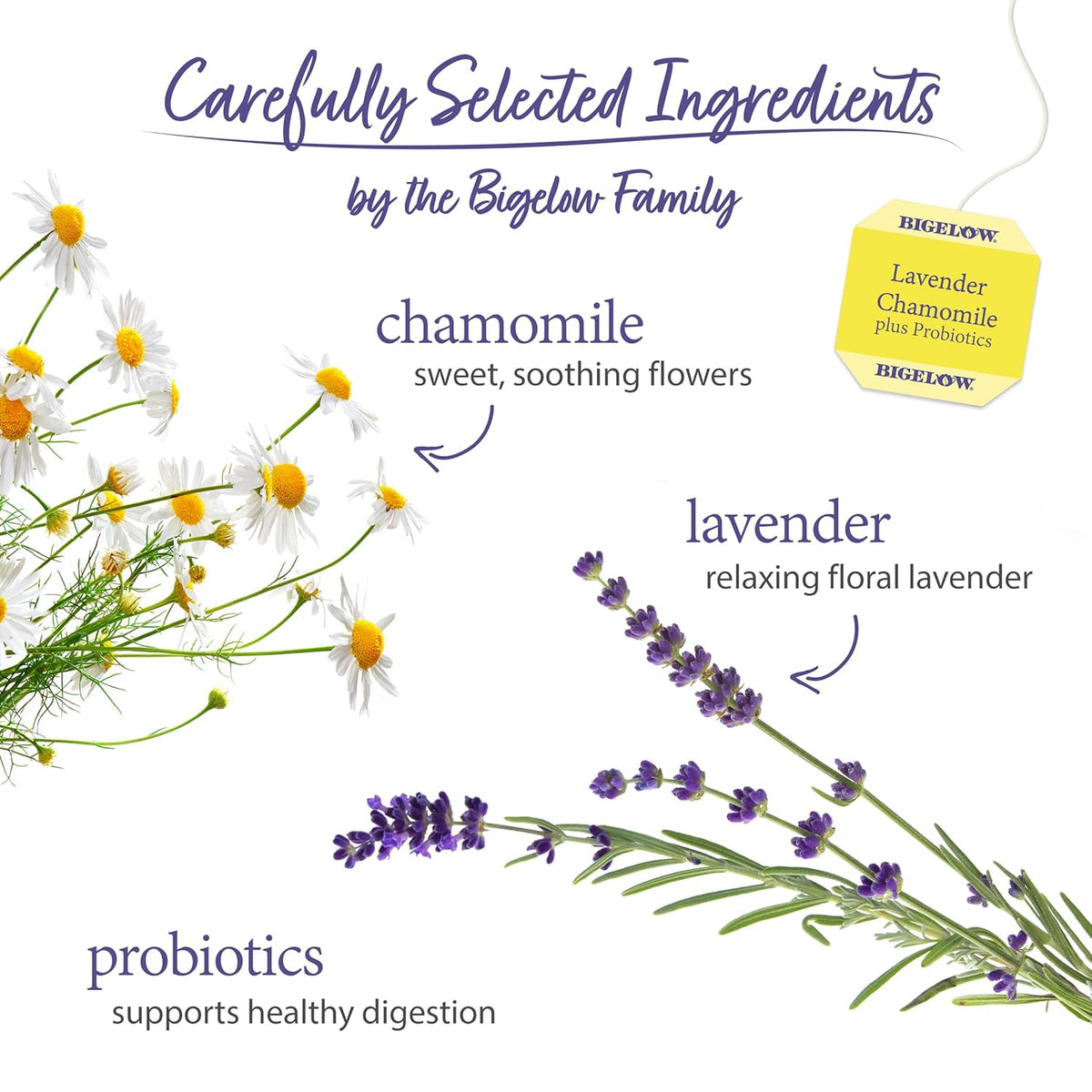 Bigelow Tea Lavender Chamomile plus Probiotic Herbal Tea, Caffeine Free, 18 Total Tea Bags (Pack of 1)