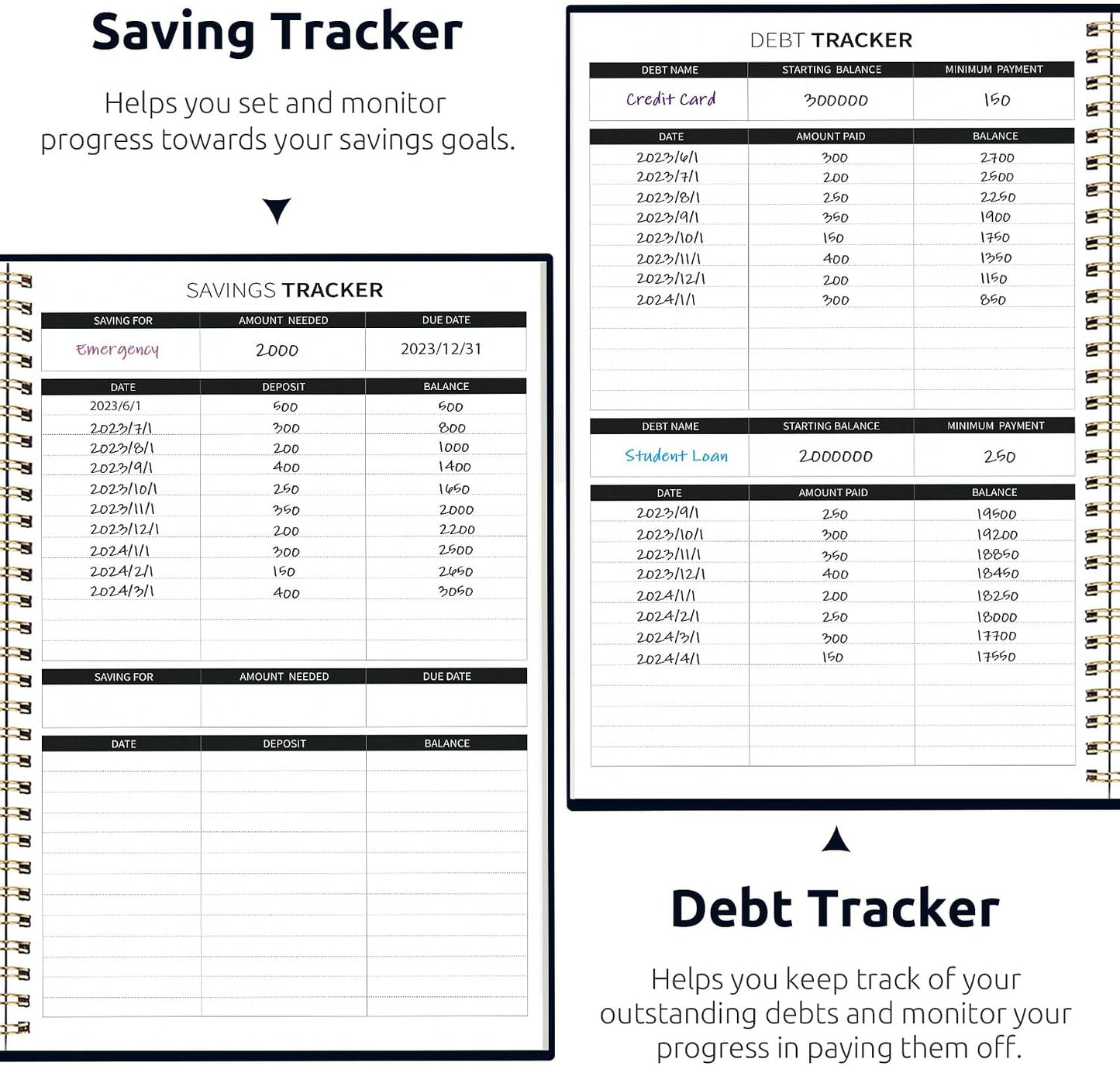 Budget Planner - Monthly Budget Book with Expense Tracker Notebook, Undated Bill Organizer & Finance Planner to Take Control of Your Money, Account Book to Manage Your Finances-Pink
