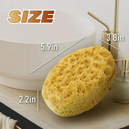 myHomeBody Bath Sponge, Foam Loofah, Body Scrubber for Bathing, Exfoliating Shower Pouf for Shower – Large Size, Lots of Lather, Curvy, 3 Pack