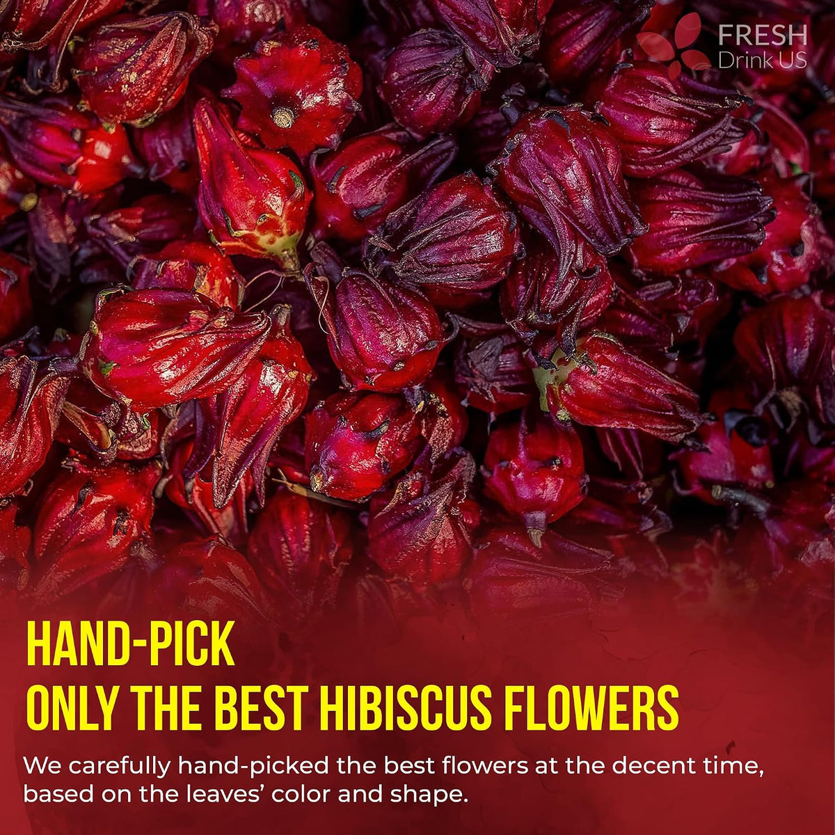 FreshDrinkUS, Premium Hibiscus Flower Tea, 235 Count, Pure, Caffeine Free
