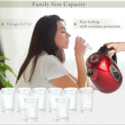 Mixpresso Electric Kettle Temperature Control, Hot Water Kettle Electric, Cordless 1 Liter Capacity, Keep Warm & LED Indicator, Auto-Shutoff, Boil-Dry Protection, Stainless Steel Electric Kettle