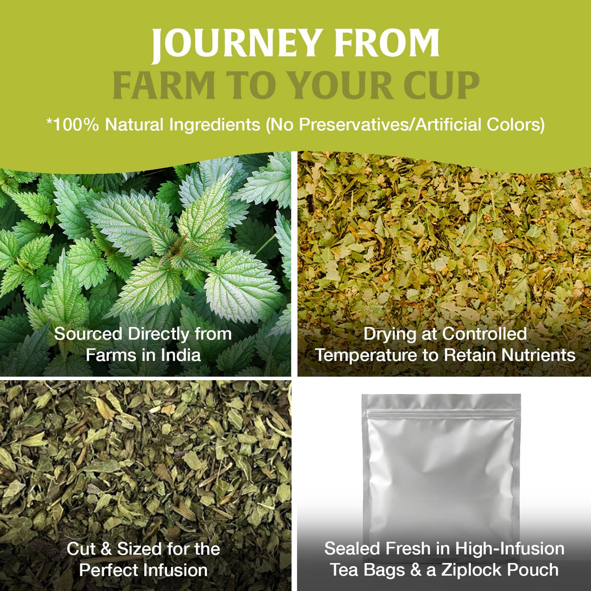 HANDPICK Nettle Leaf Tea (40 Tea Bags) 100% Pure Leaf Tea, No Additives