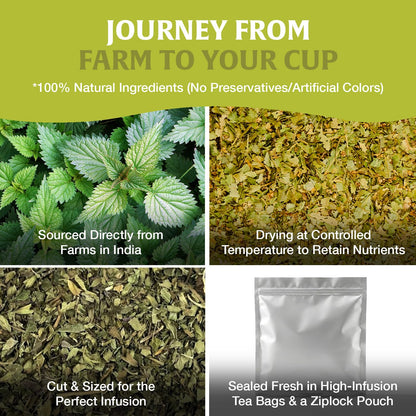 HANDPICK Nettle Leaf Tea (40 Tea Bags) 100% Pure Leaf Tea, No Additives
