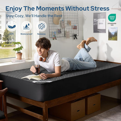 BEDLORE Queen Mattress Protector, Waterproof Noiseless Mattress Cover with Deep Pocket for 6-18 inches Mattress, Soft Breathable Mattress Pad Machine Washable (Dark Gray)