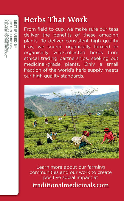 TRADITIONAL MEDICINALS Echinacea Plus Tea,16 Count (Pack of 2)