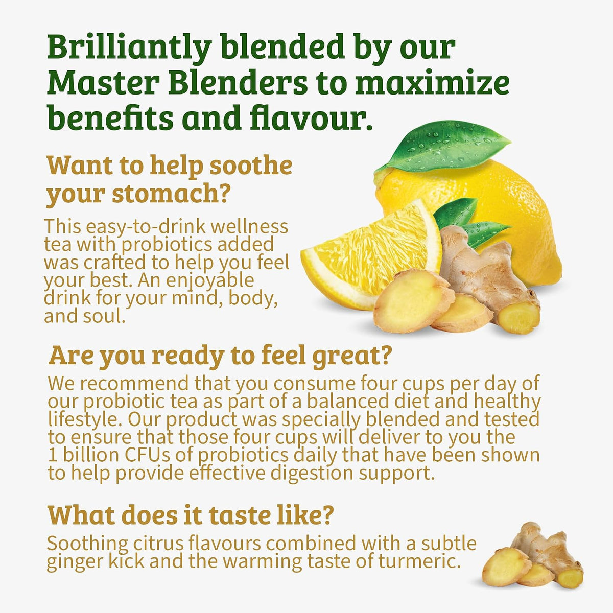 Twinings Lemon & Ginger with Probiotics Herbal Tea Bags, 18 CT Box (1 Pack)