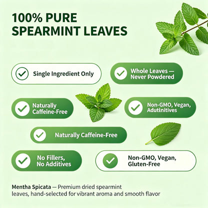 TeaTrail Pure Spearmint Tea – 25 Pyramid Tea Bags, Caffeine-Free Herbal Tea for Digestion & Bloating Relief, 100% Natural Spearmint Leaves, Corn Fiber Compostable Bags, Hot & Iced Brew