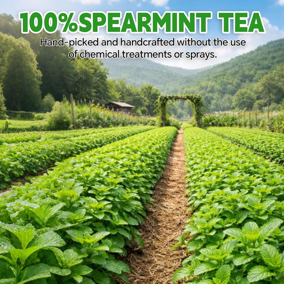 Spearmint Leaves Tea Bags-120 Teabags, 2g/Bag, Made with 100% Natural Spearmint Leaves. Helps with Freshens Breath and Digestion | Caffeine-Free | Sugar-Free | Gluten-Free | Vegan. Eco-Friendly Tea Bags